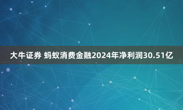 大牛证券 蚂蚁消费金融2024年净利润30.51亿