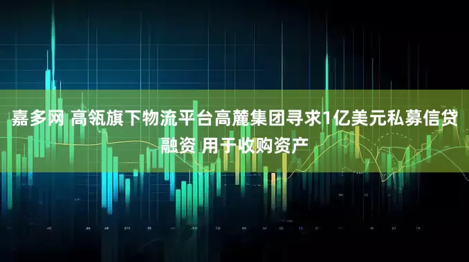 嘉多网 高瓴旗下物流平台高麓集团寻求1亿美元私募信贷融资 用于收购资产