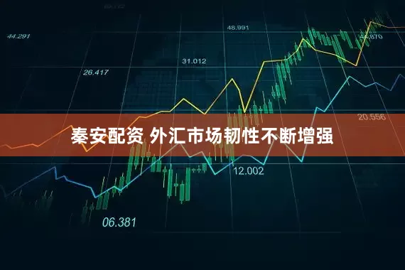 秦安配资 外汇市场韧性不断增强