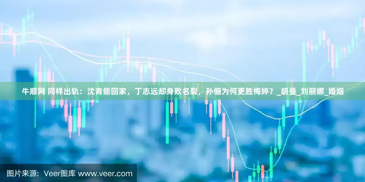 牛顺网 同样出轨：沈青能回家，丁志远却身败名裂，孙俪为何更胜梅婷？_胡曼_刘丽娜_婚姻