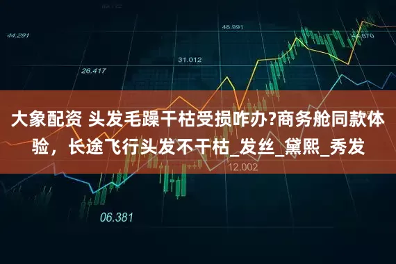 大象配资 头发毛躁干枯受损咋办?商务舱同款体验，长途飞行头发不干枯_发丝_黛熙_秀发