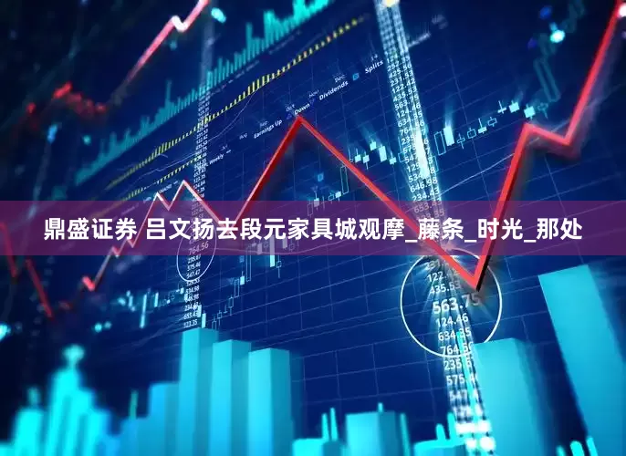 鼎盛证券 吕文扬去段元家具城观摩_藤条_时光_那处