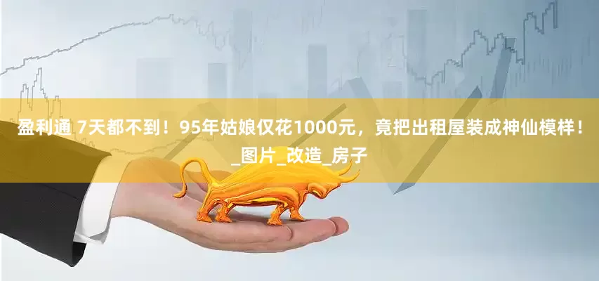 盈利通 7天都不到！95年姑娘仅花1000元，竟把出租屋装成神仙模样！_图片_改造_房子