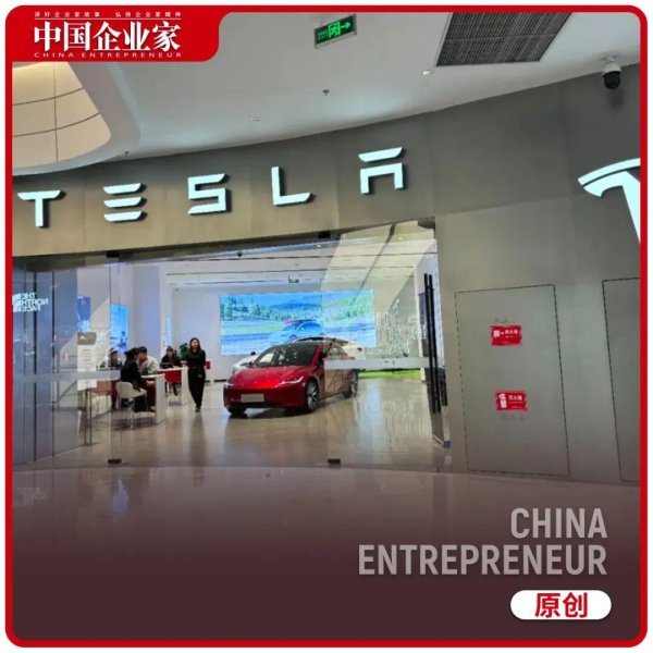 中鼎策略 马斯克的命运之战，还有5天揭晓答案